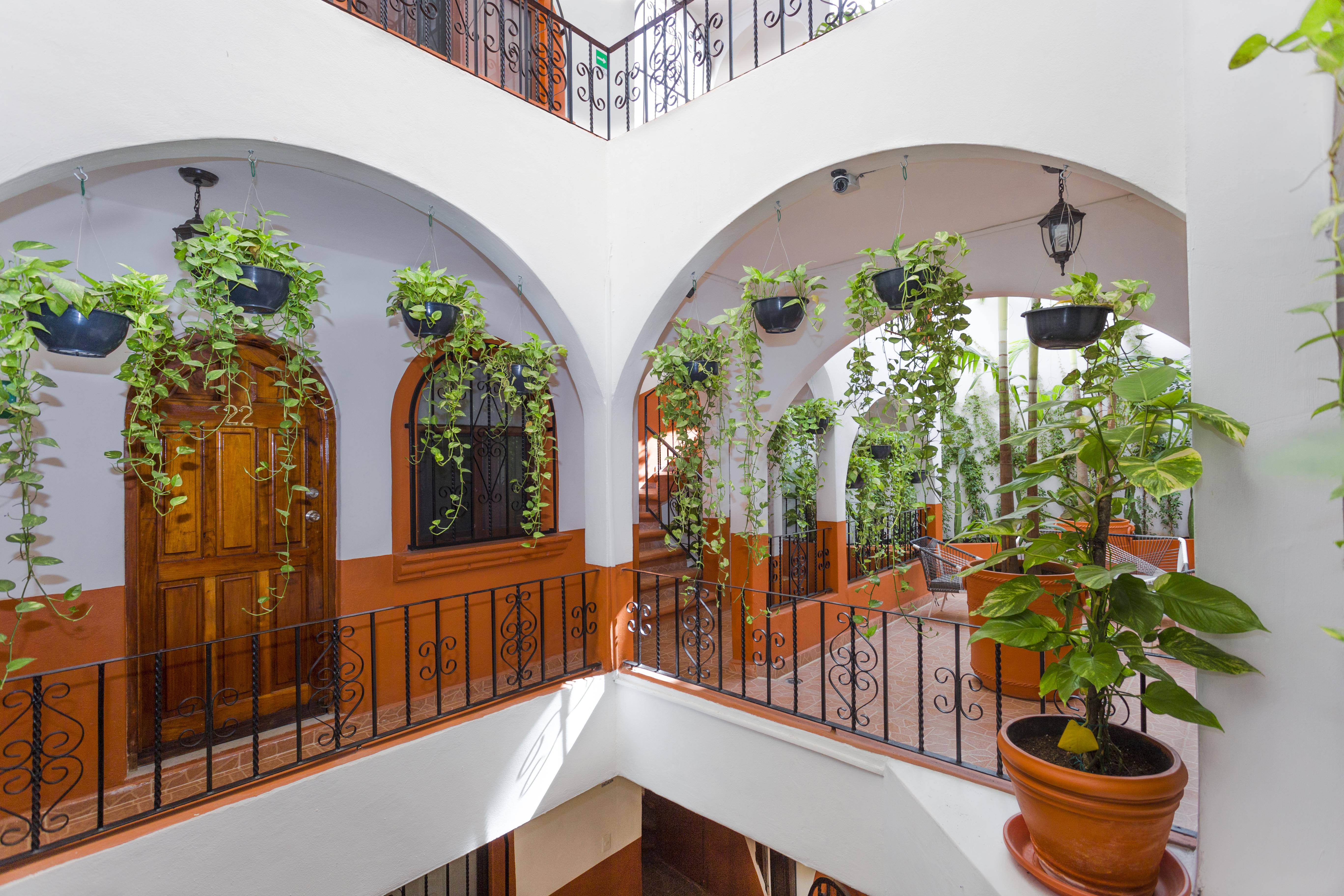 Alma Y Mar Apart Hotel 5Th Av Playa del Carmen Buitenkant foto