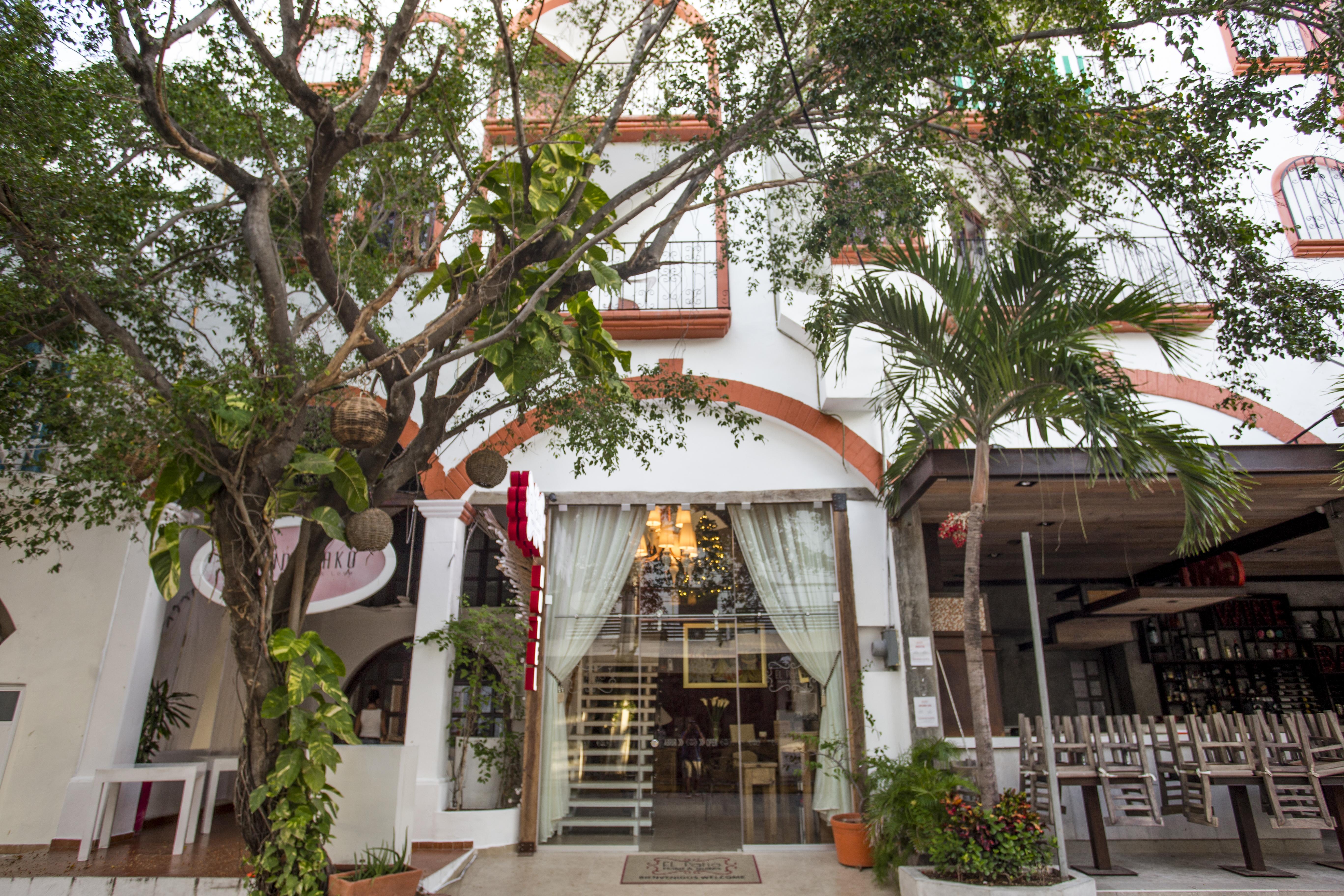 Alma Y Mar Apart Hotel 5Th Av Playa del Carmen Buitenkant foto
